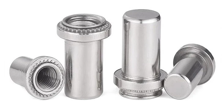 Blind Nut Waterproof Rivet Nut SS316 best