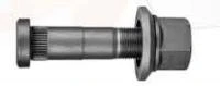 Truck Bolt DXTB036 Renault